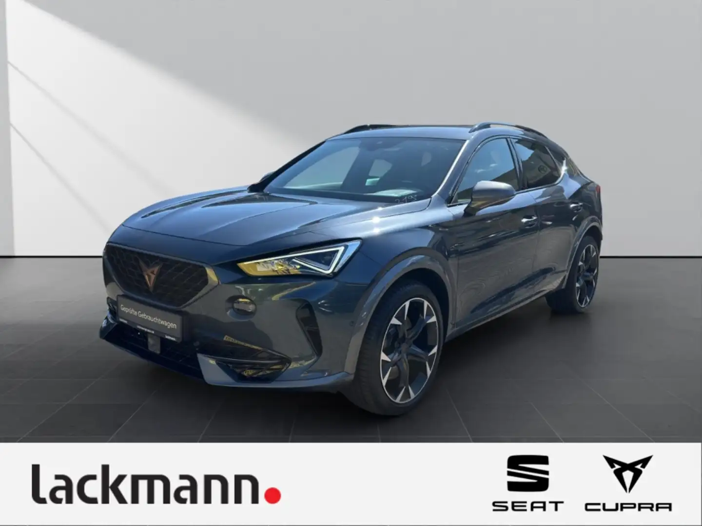CUPRA Formentor 2.0 VZ 4Drive *Navi*LED*CarPlay*ACC* Grau - 1