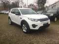 Land Rover Discovery Sport Pure Blanc - thumbnail 6