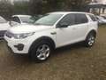 Land Rover Discovery Sport Pure Blanc - thumbnail 5