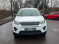 Land Rover Discovery Sport Pure Weiß - thumbnail 3