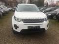 Land Rover Discovery Sport Pure Weiß - thumbnail 4