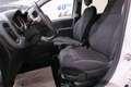 Fiat Panda Panda 1.0 firefly hybrid CROSS Bianco - thumbnail 9