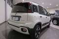 Fiat Panda Panda 1.0 firefly hybrid CROSS Bianco - thumbnail 6
