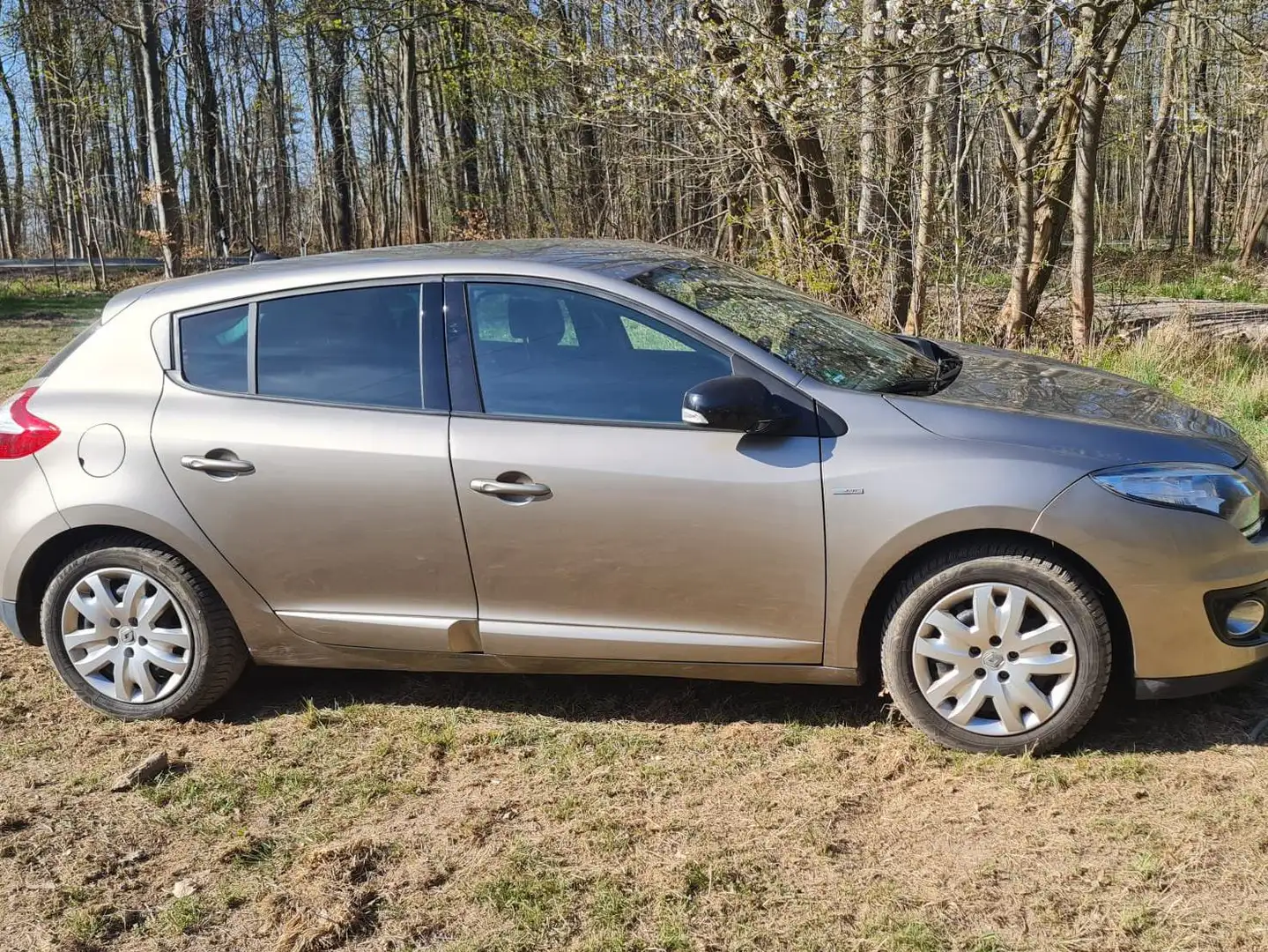 Renault Megane Megane ENERGY TCe 115 Start  Stop Bronze - 1