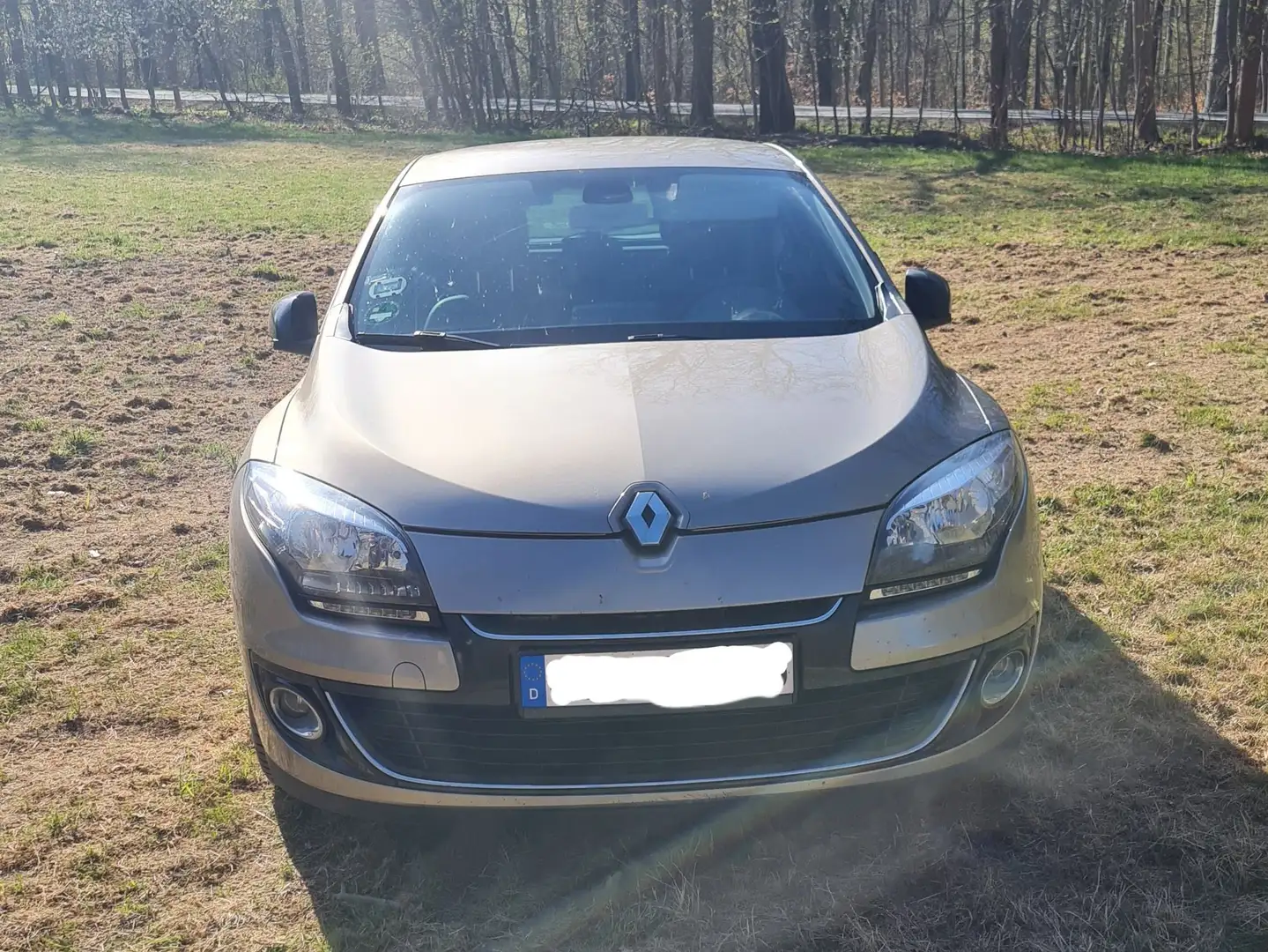 Renault Megane Megane ENERGY TCe 115 Start  Stop Bronze - 2