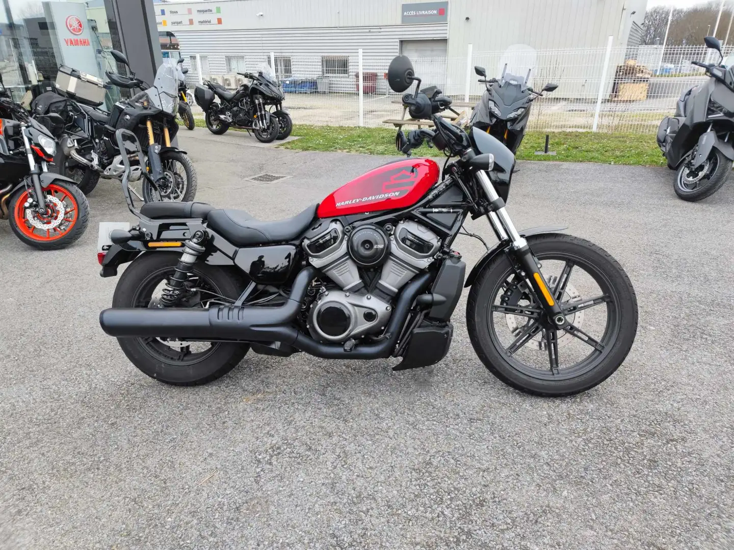 Harley-Davidson Sportster Rood - 2