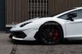 Lamborghini Aventador SVJ*Lift Blanco - thumbnail 16