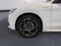 Alfa Romeo Stelvio 2.2 Turbo Veloce Bianco - thumbnail 15