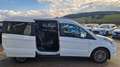 Ford Tourneo Connect TDCi Titanium LR ''1.Besitz'' Weiß - thumbnail 8