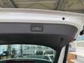 Skoda Kamiq 1.5 TSI DSG Monte Carlo Navi+Keyless+AHK+++ Weiß - thumbnail 14