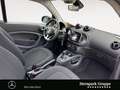 smart forTwo fortwo passion coupé 52kW EINPARKHILFE*SHZ* Gris - thumbnail 15