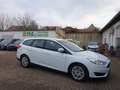 Ford Focus 1,5 TDCi Turnier, EU6, Getriebeproblem !! Weiß - thumbnail 1