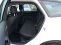 Ford Focus 1,5 TDCi Turnier, EU6, Getriebeproblem !! Weiß - thumbnail 11