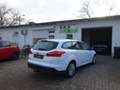 Ford Focus 1,5 TDCi Turnier, EU6, Getriebeproblem !! Weiß - thumbnail 6