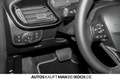 Ford Fiesta 1.0 EcoBoost Autom Titanium LED PDC SHZ KAM Negro - thumbnail 14