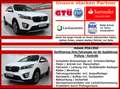 Kia Sorento Platinum Edition 4WD / 7 Sitze / Voll White - thumbnail 3