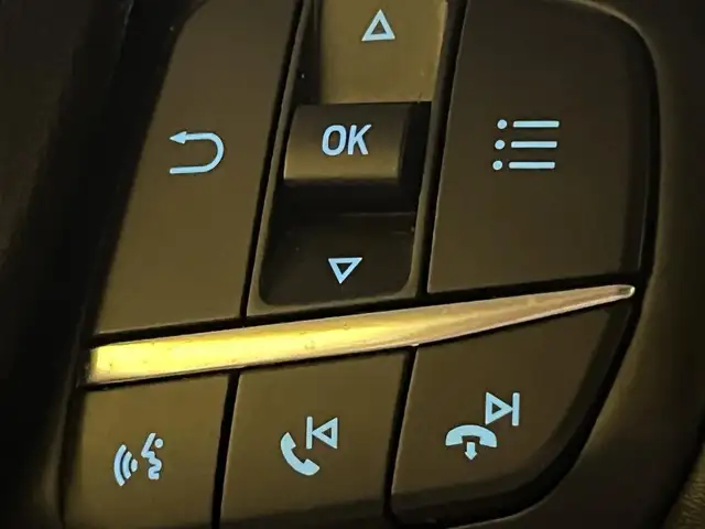 Ford Focus view 21
