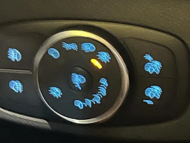 Ford Focus view 19