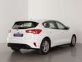 Ford Focus 1.0 Ecoboost Trend+ 125 Blanco - thumbnail 5