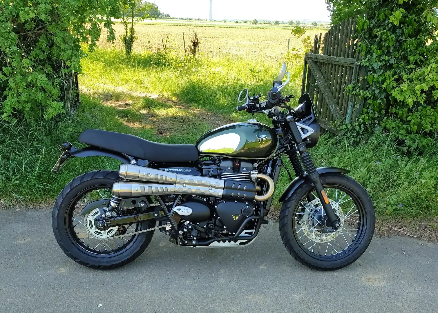 Triumph Scrambler 900 Chrome Edition Custom Umbau Zöld - 1