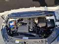 Volkswagen Caddy 1,4 TGI Trendline Klima Sitzheizung Weiß - thumbnail 13