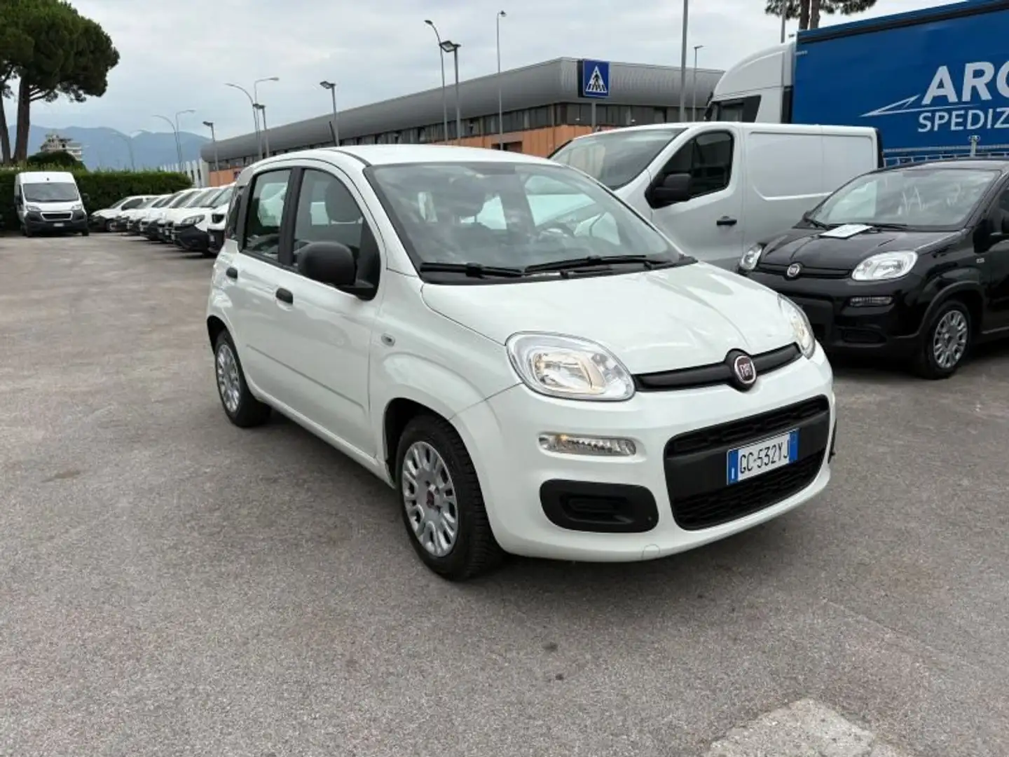 Fiat Panda Panda 1.0 hybrid Easy s Bianco - 2