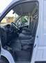 Fiat Ducato 2.3MJT LH2 Furgone E6D 160cv3700x1810xx1930 kg1332 Blanc - thumbnail 9