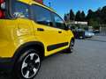 Fiat Panda Panda 1.2 City Cross Giallo - thumbnail 11