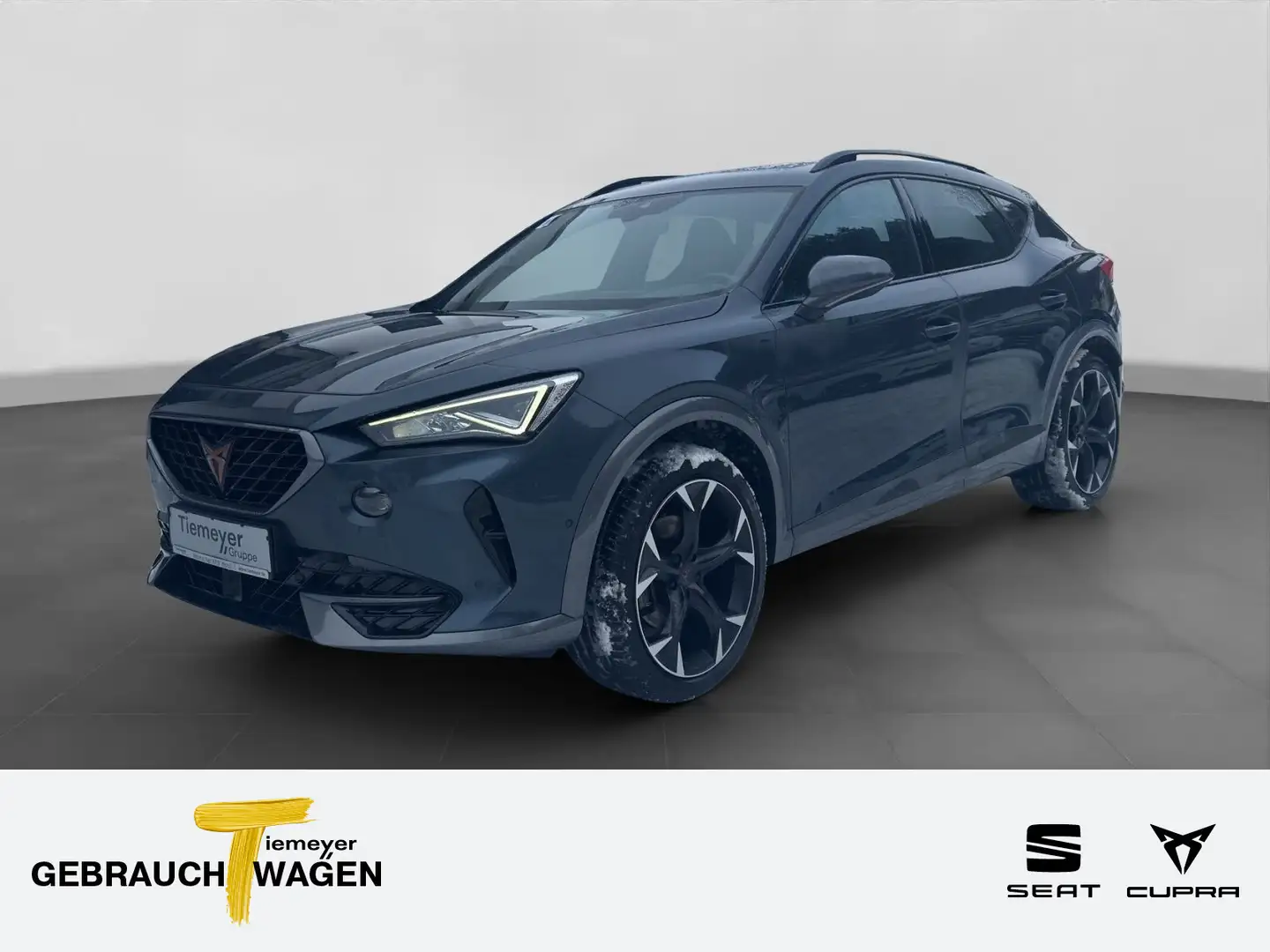 CUPRA Formentor 2.0 TDI 4D LM19 PANO MATT BEATS STANDH Grau - 1