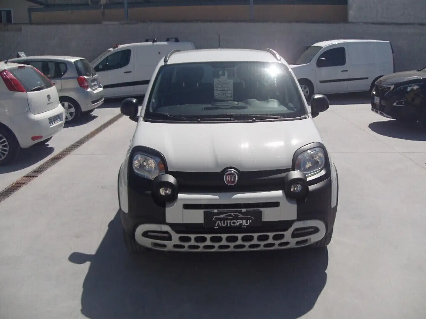Fiat Panda Cross 1.0 FireFly S&S Hybrid Blanco - 2