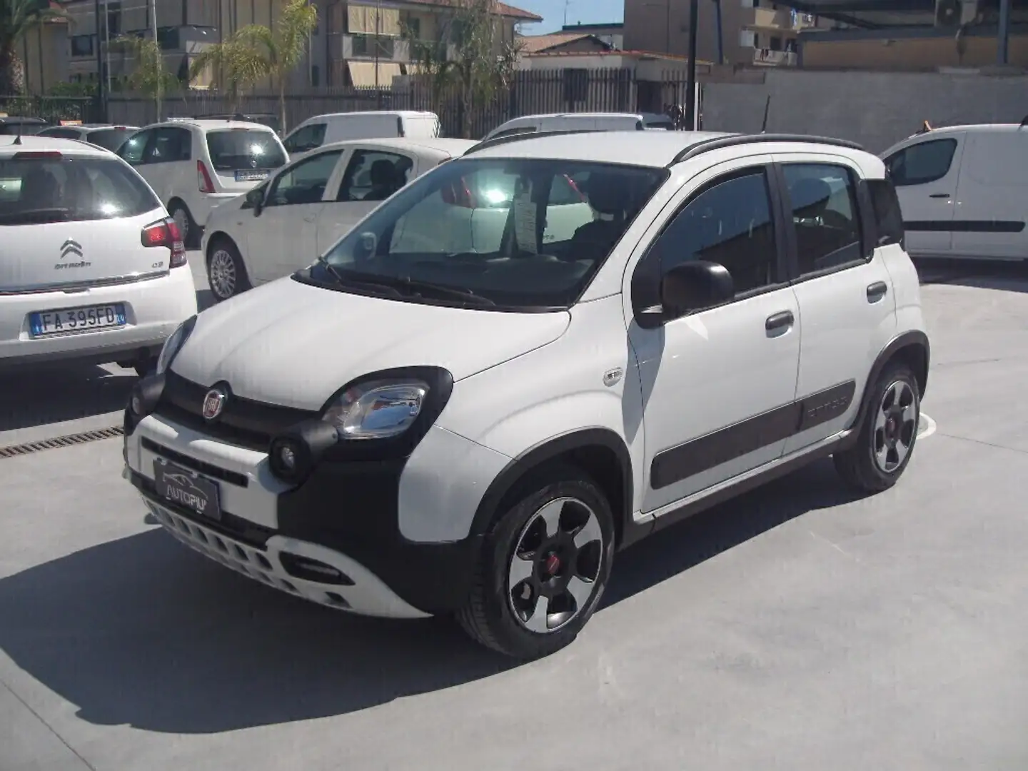 Fiat Panda Cross 1.0 FireFly S&S Hybrid Blanco - 1