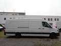 Mercedes-Benz Sprinter 316 CDI MAXI; EXTRA LANG Weiß - thumbnail 21