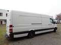Mercedes-Benz Sprinter 316 CDI MAXI; EXTRA LANG Weiß - thumbnail 20