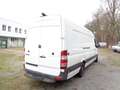 Mercedes-Benz Sprinter 316 CDI MAXI; EXTRA LANG Weiß - thumbnail 15