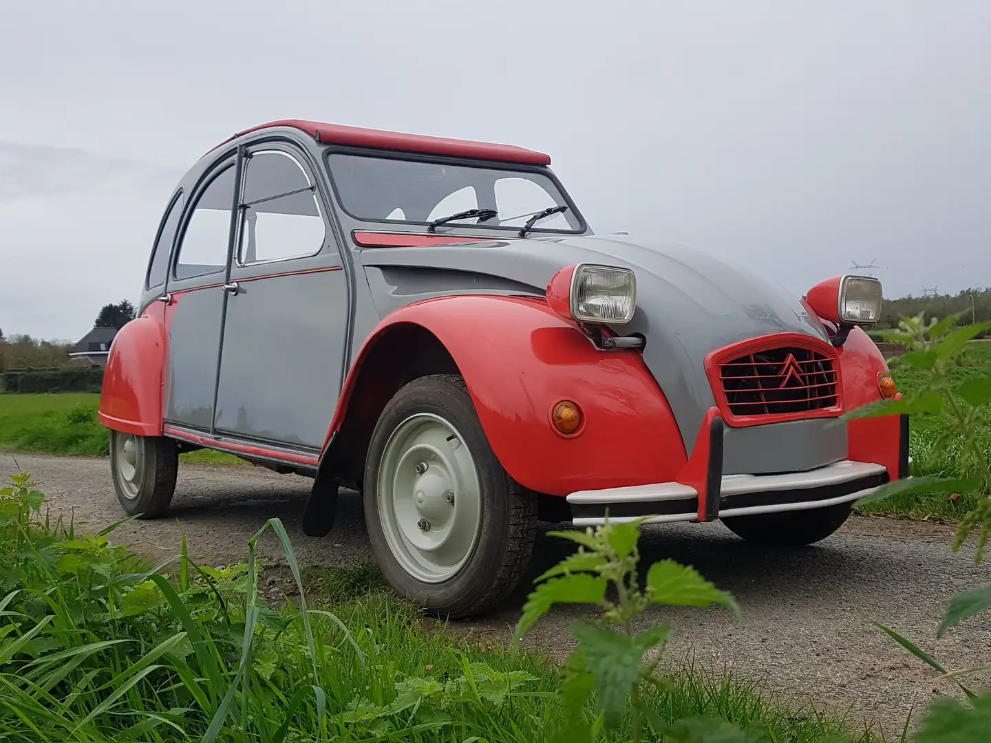 Citroen 2CV - 1