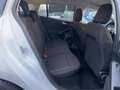 Ford Focus Turnier 1.0 EcoBoost Titanium Edition ACC Blanc - thumbnail 12