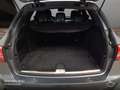 Mercedes-Benz C 220 d T 4M AVANTG+360+AHK+MULTIBEAM+STHZG+9G Gris - thumbnail 21