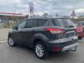 Ford Kuga Kuga 2.0 TDCi FWD Titanium+ Gris - thumbnail 6
