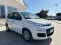 Fiat Panda 1.0 firefly hybrid s&s 70cv 5p.ti Bianco - thumbnail 4