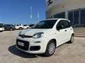 Fiat Panda 1.0 firefly hybrid s&s 70cv 5p.ti Bianco - thumbnail 5