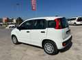 Fiat Panda 1.0 firefly hybrid s&s 70cv 5p.ti Bianco - thumbnail 7