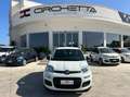 Fiat Panda 1.0 firefly hybrid s&s 70cv 5p.ti Bianco - thumbnail 1