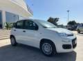 Fiat Panda 1.0 firefly hybrid s&s 70cv 5p.ti Bianco - thumbnail 14