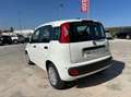 Fiat Panda 1.0 firefly hybrid s&s 70cv 5p.ti Bianco - thumbnail 9