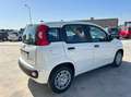 Fiat Panda 1.0 firefly hybrid s&s 70cv 5p.ti Bianco - thumbnail 12