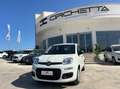 Fiat Panda 1.0 firefly hybrid s&s 70cv 5p.ti Bianco - thumbnail 2