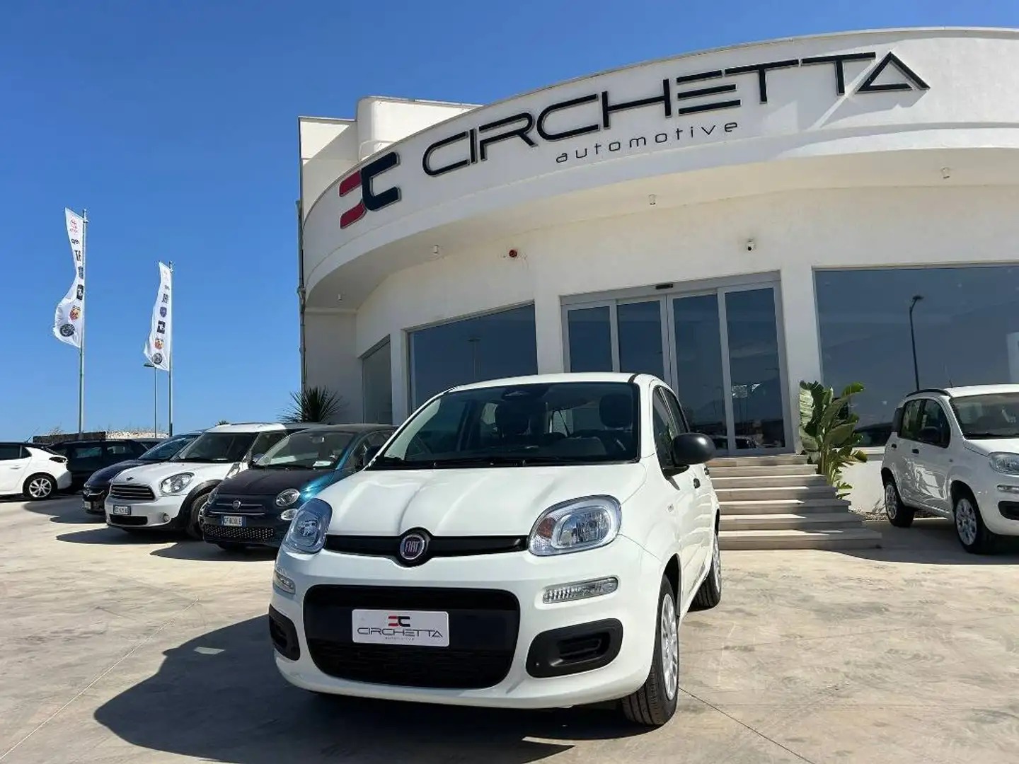 Fiat Panda 1.0 firefly hybrid s&s 70cv 5p.ti Bianco - 2