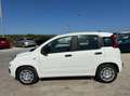 Fiat Panda 1.0 firefly hybrid s&s 70cv 5p.ti Bianco - thumbnail 8