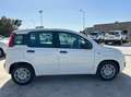 Fiat Panda 1.0 firefly hybrid s&s 70cv 5p.ti Bianco - thumbnail 13