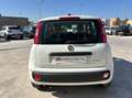 Fiat Panda 1.0 firefly hybrid s&s 70cv 5p.ti Bianco - thumbnail 10